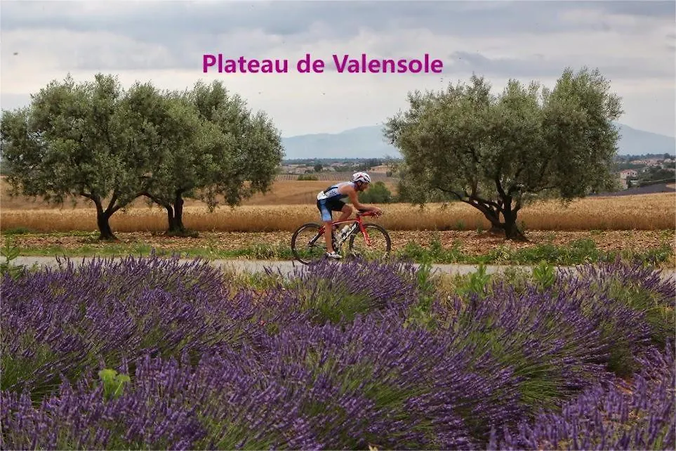 Studio 34 Résidence les Thermes Curistes et Vacanciers Digne-les-Bains Appartement