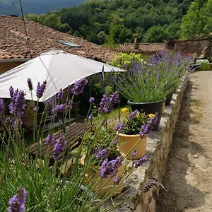 gite-de-charme.midi-pyreneeshotels.com/